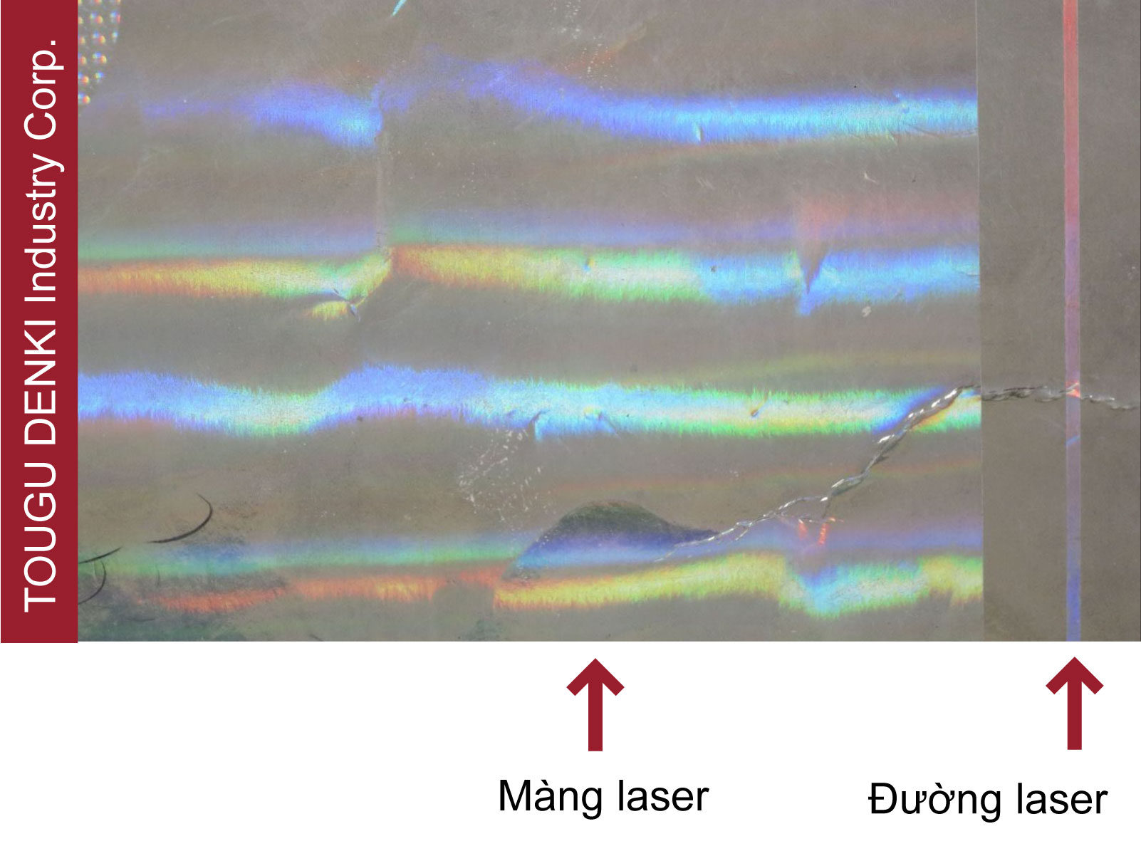 Đường in laser trên màng laser Đường in laser trên màng laser