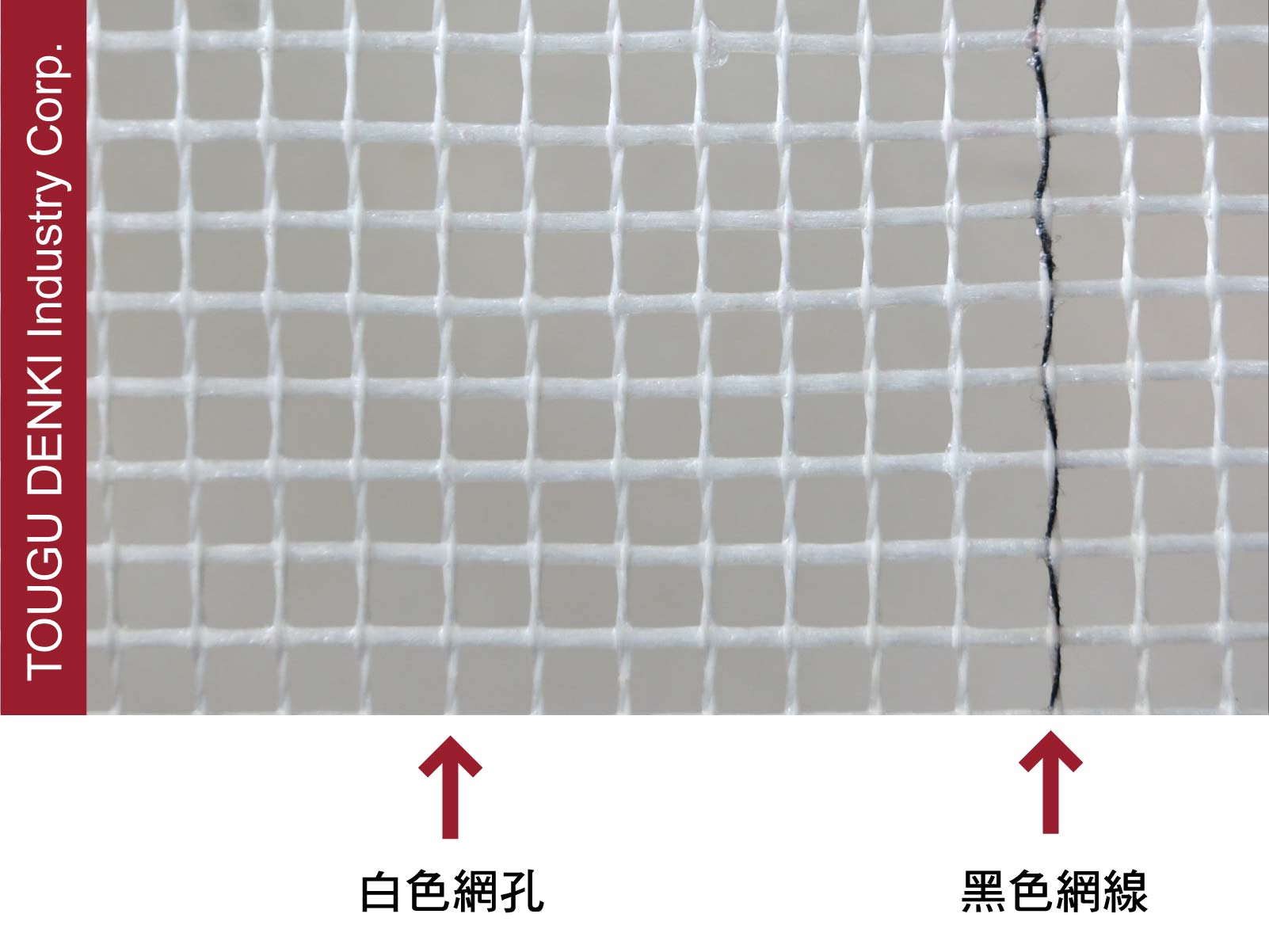 白網孔黑印刷線 白網孔黑印刷線